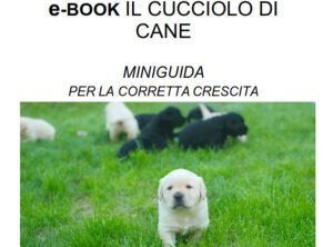 ebook cucciolo di cane
