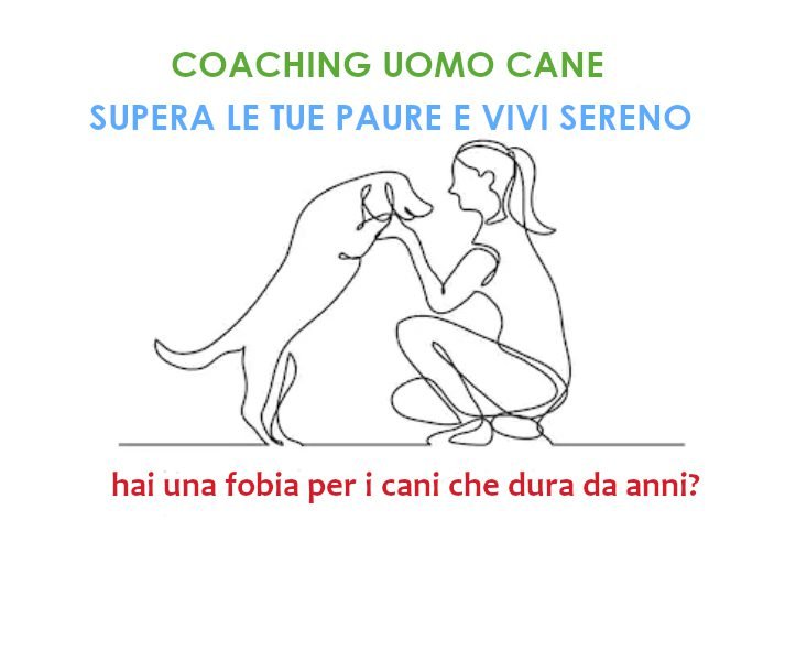 coaching uomo cane