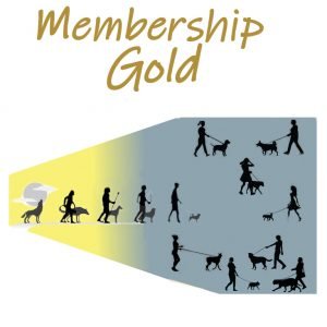 Membership Gold